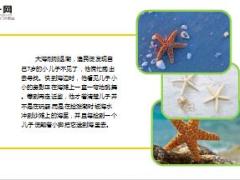 每日保险故事拯救海星9页.ppt