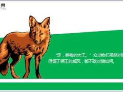 每日正能量乌龟与狼11页.ppt