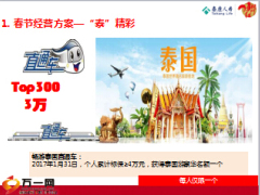 保险公司春节假日经营方案宣导泰康版28页.ppt