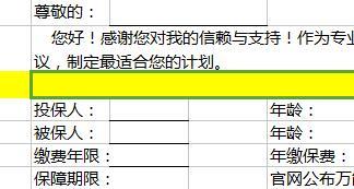 华夏福临门简易计划书4页.xls