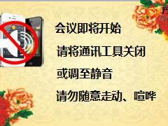 保险公司贵宾客户欢乐嘉年华产说会主持灯片国寿版28页.ppt