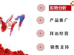 2017年开门红支持政策形势分析国寿版36页.ppt