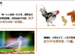 每日正能量给自己一个悬崖9页.ppt