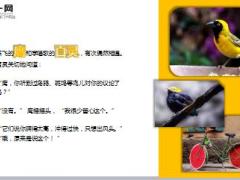 每日保险故事鹰和百灵8页.ppt