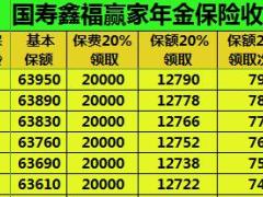 国寿鑫福赢家5年交利益速查表24页.xls