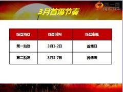 保险公司2017年三月业务推动方案宣导吹风版10页.ppt