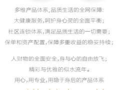 中国人寿国寿嘉园宣传册39页.rar