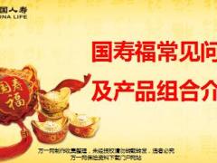 国寿福至尊版常见问题及产品组合介绍13页.ppt