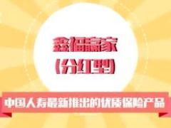 视频中国人寿鑫福赢家宣传片.rar
