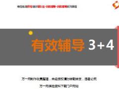 电销寿险师傅有效辅导三加四33页.ppt