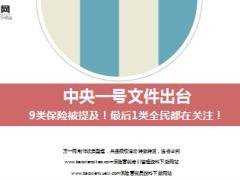 2017中央一号文件出台9类保险被提及12页.ppt