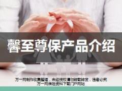 前海人寿馨至尊保上市宣导片23页.ppt