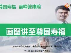 画图讲国寿福至尊版含画图工具12页.rar