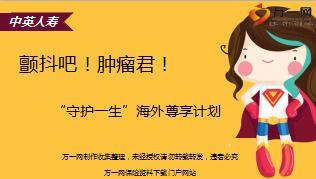 中英人寿守护一生海外尊享计划标准课件33页.ppt