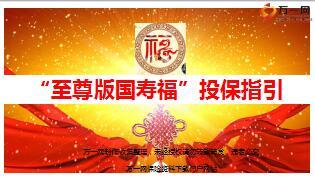 至尊版国寿福投保指引11页.ppt