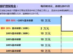中英人寿康佑一生长期疾病保障计划书1页.xls