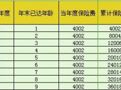 中英人寿鑫享年华组合利益演示表2页.xls