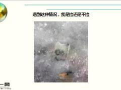 每日快乐早会17年2月13日使用15页.ppt