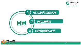2017开门红新产品系统支持国寿e家e投宝介绍19页.ppt