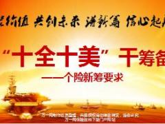 十全十美干筹备个险新筹要求43页.ppt