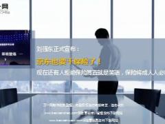 刘强东正式宣布京东要开保险公司13页.ppt
