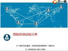 团险投保经验分享含备注20页.ppt