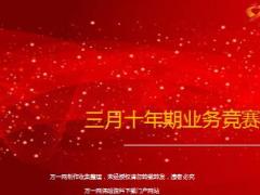 保险公司三月十年期业务竞赛方案12页.ppt