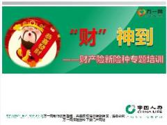 中国人寿财产险险新产品专题培训40页.ppt