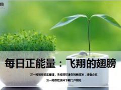 每日正能量飞翔的翅膀8页.ppt
