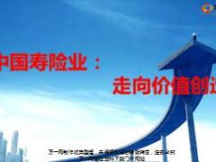 中国寿险业走向价值创造22页.ppt