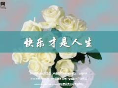每日鸡汤快乐才是人生.rar