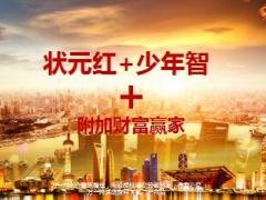 太平洋状元红加少年智附加财富赢家销售培训46页.PPT