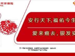 健康小MM产说会主讲片太平洋安行宝金佑爱无忧银发安康31页.ppt