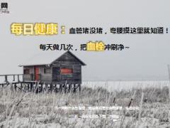 每日健康血管堵没堵弯腰摸这里就知道13页.ppt