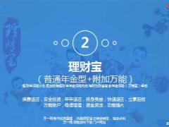 前海人寿理财宝产品简介10页.ppt