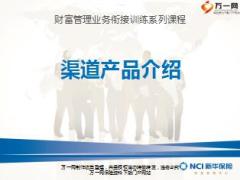 新华人寿经典热销渠道产品介绍45页.ppt