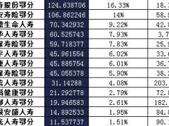 湖北省2016年前12月寿险公司总保费排行榜.xls