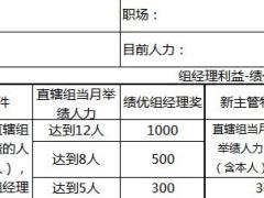 保险企业家工作规划绩效面谈表国寿版3页.xlsx