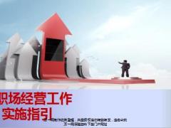 个险渠道分职场经营实施指引含备注48页.ppt