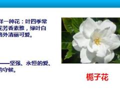保险营销志愿者公益活动拓客技巧培训含备注音乐22页.rar
