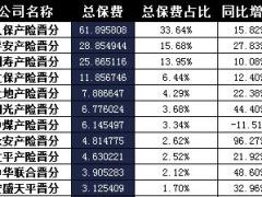 山西省2016年前12月财险公司总保费排行榜.xls