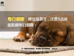 每日健康睡觉最养生注意5点还能防病11页.ppt