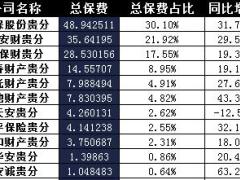 贵州2016年前12月财险公司总保费排行榜.xls