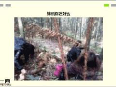 每日快乐早会17年3月6日使用15页.ppt