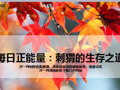 每日正能量刺猬的生存之道7页.ppt