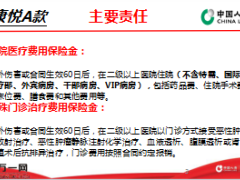 国寿康悦医疗保险A款条款解读16页.ppt
