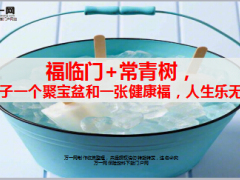 华夏福临门加常青树产品简介少儿版10页.ppt
