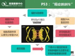 P53基因检测报告解读基于检测结果分析与干预21页.ppt