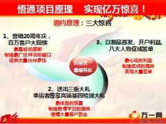 产说会精品项目平台原理运作与管控国寿版70页.ppt