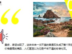 每日正能量石头的价值12页.ppt